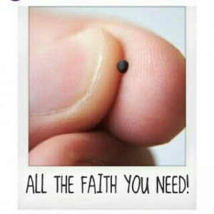 faith-mustard-seed-all-the-faith-u-need